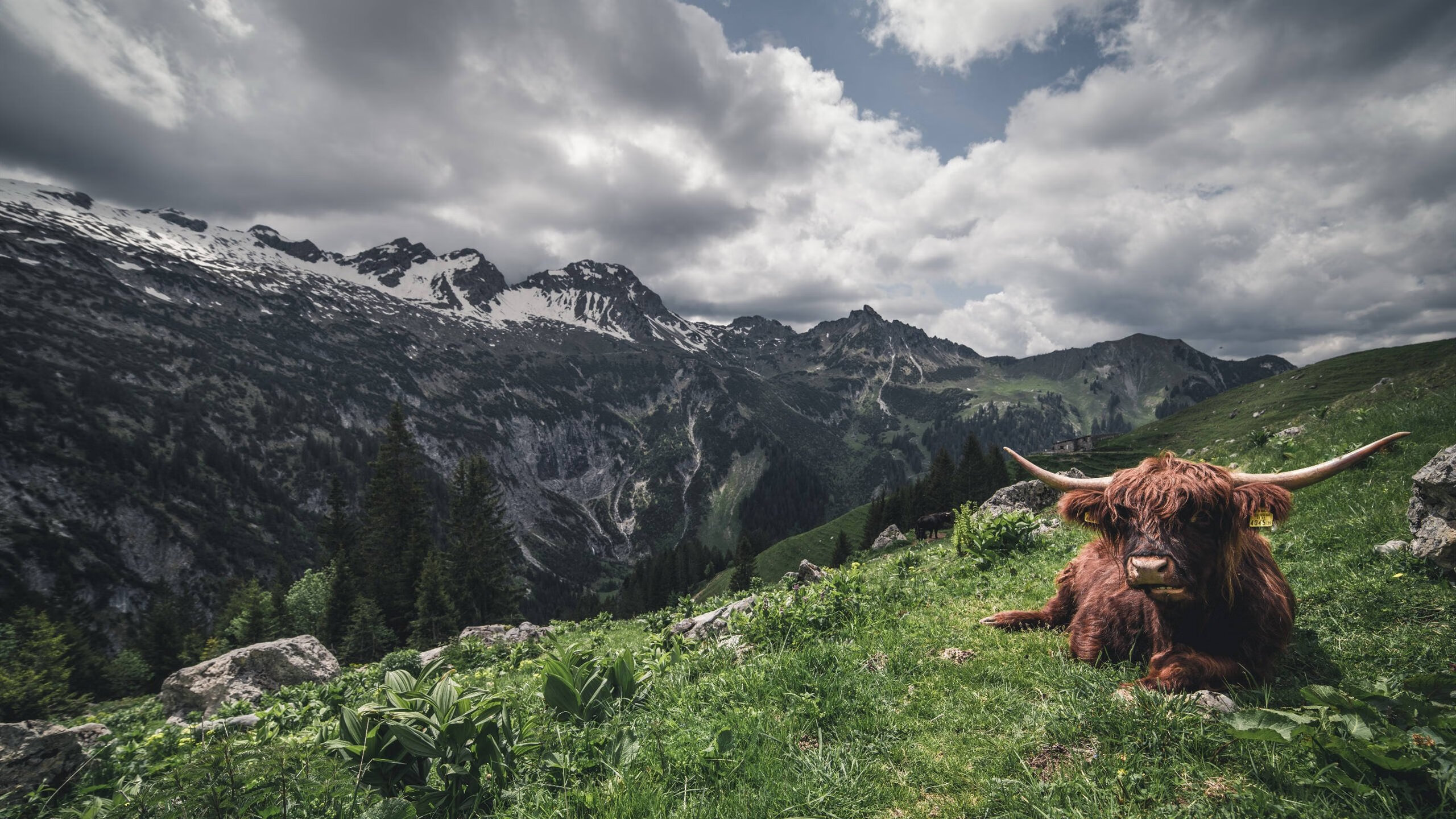 爱游戏娱乐-NBA新语录流行：球星的“金句”大放送，nba球星说过的经典话